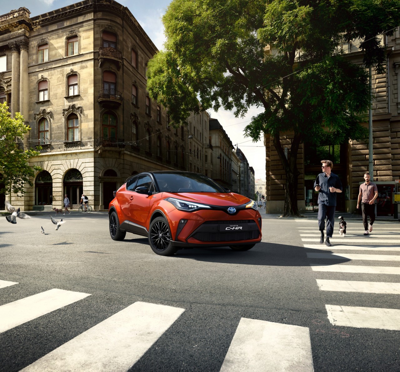 Toyota C-HR Safety Sense